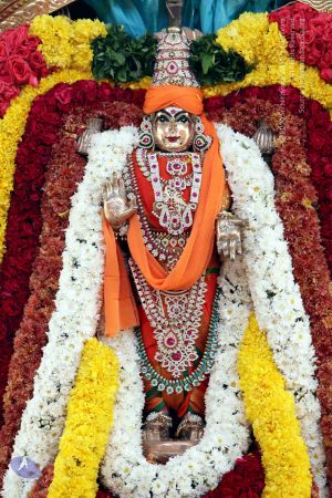 20130114 IMG 9867 CMP WM001.jpg