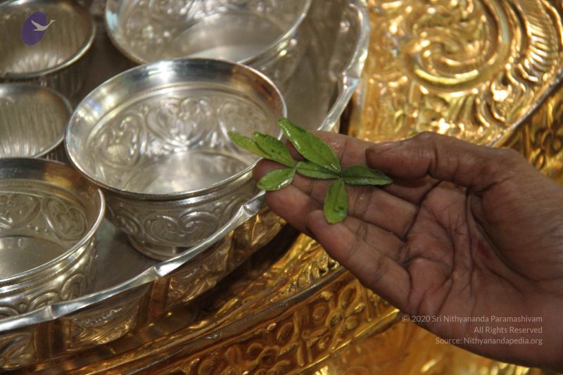 File:20130115 Photo 1178 1U4s02epa-23FmHGHfCnHAsr lcgRZklO.JPG