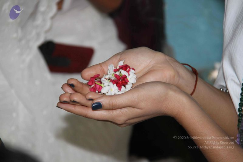 File:20130115 Photo 1196 1K86L8k70pNsx oL8tn0KIsULngd3bdEO.JPG