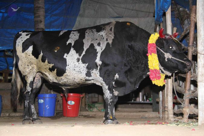 20130115 Photo 1247 1Rx98rN AjIk1LvFQkA8f1 5ROXPp8bga.JPG