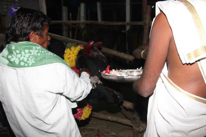 20130115 Photo 1250 15c9q14zBRkXQz2 SDuSG84b8MF52rper.JPG