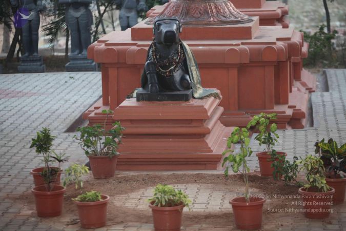 20130117 Photo 1026 1HUOufrYIIZajQA1iQOj61J9yZqxbsa5z.JPG