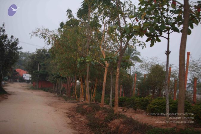 20130118 Photo 1000 12teZ7dPrvKALakLJi6biRnZcHYuROEiL.JPG