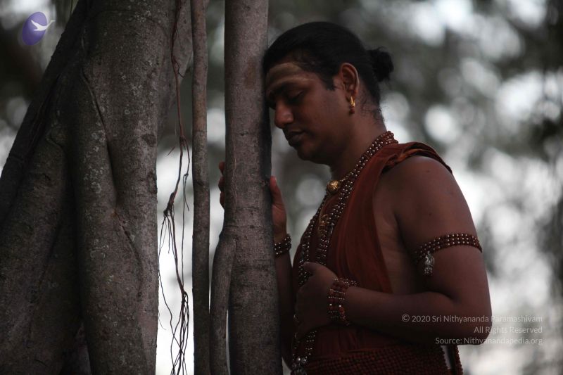 File:20130118 Photo 1018 1U0M3JIB9ssaEhSPZUsrA9MbQ8tVulyHz.JPG