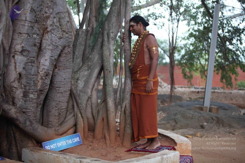 File:20130119 Photo 1019 1QOrJaEC2GJA2 e19XARQQUyt2JgyM9Vp.JPG