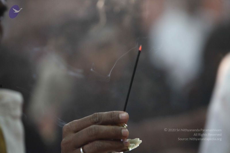 File:20130119 Photo 1066 1-qabJ-ChWBVssiT1BVRcTM0rI0mzCC81.JPG