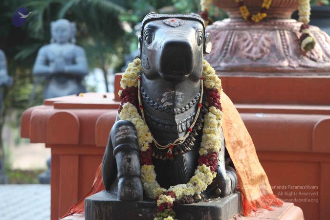 2013011s Photo 1057 1HWo1w-31oxoCMFRFt6AZFBH6XMzjJ8pm.JPG