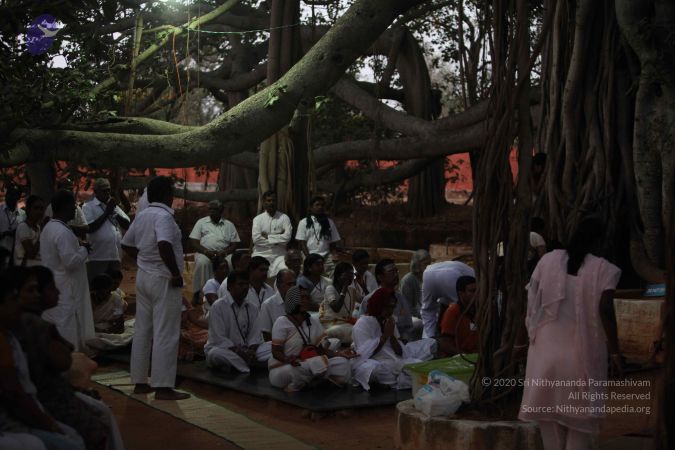 20130120 Photo 1000 15gQDFafY6Ph-oWcvx8vt-zdQdfdMommD.JPG