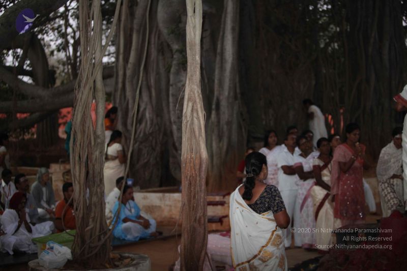 File:20130120 Photo 1001 1uImd8bLwiqahiajxj22638nzeMEPq0pX.JPG