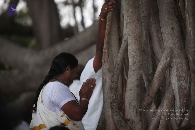 File:20130120 Photo 1003 1vc-jtCbx5LsQCjvhM Rsjq7q DzGYEjX.JPG