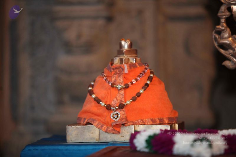 File:20130120 Photo 1008 19o8l HB4Eb-DzPALBzY8TF6TlNG8CH2T.JPG