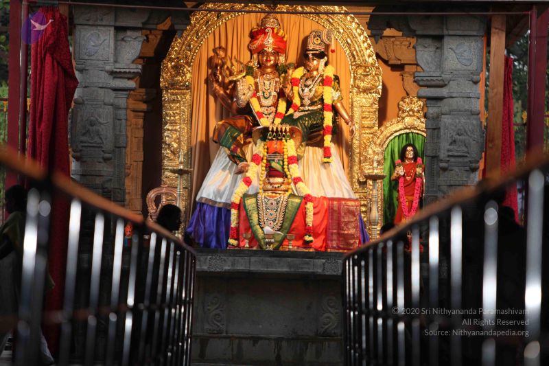 File:20130120 Photo 1013 1DUl4BfrfwiDC5Qmv EqwQ36 5V5BwGik.JPG