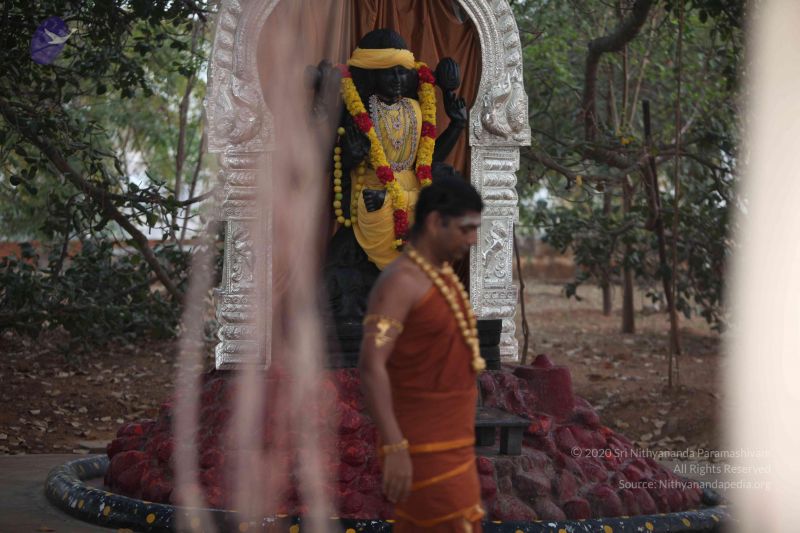 File:20130120 Photo 1018 1jiWcKRE4I9zpNpzSYmBA 2F-whP6MsW8.JPG