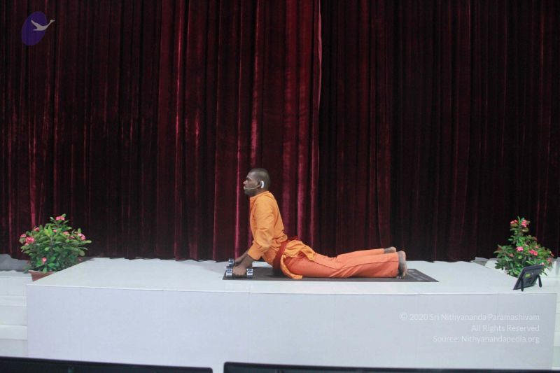 File:20130128 Photo 1002 1F8e-g3vjQsJdCkGy22 Vk4I7bso8i358.JPG