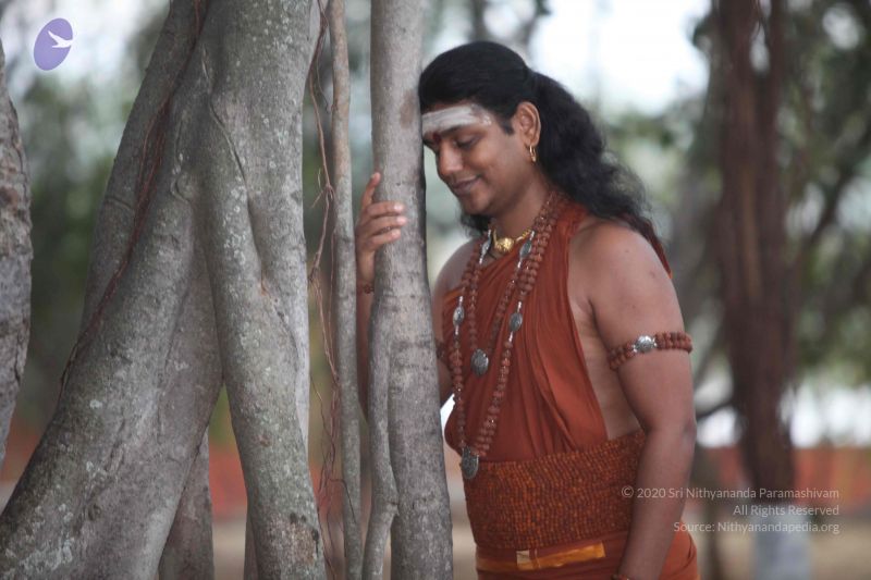 File:20130128 Photo 1040 1blzSS9yswrmTI kKNSZ9XgLfwUZMUzxi.JPG