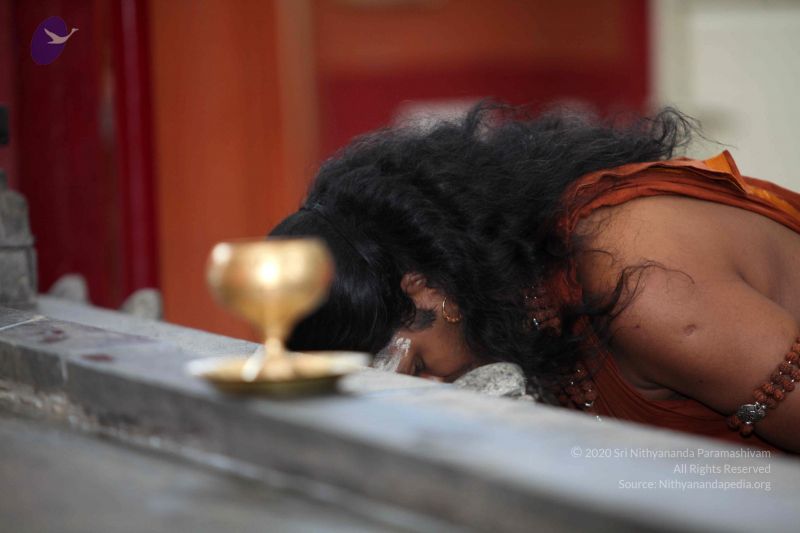 File:20130128 Photo 1046 1HAV1rIft4tHMnmdTK9yzh7GVJdbIwj1v.JPG