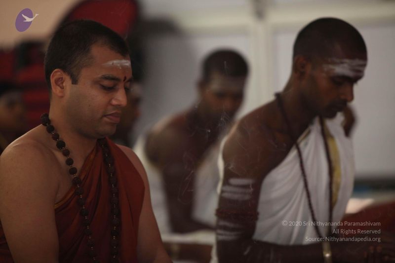 File:20130128 Photo 1085 1- iQdW7A39J0nHKjeX8R-KIXjaUYQg-8.JPG