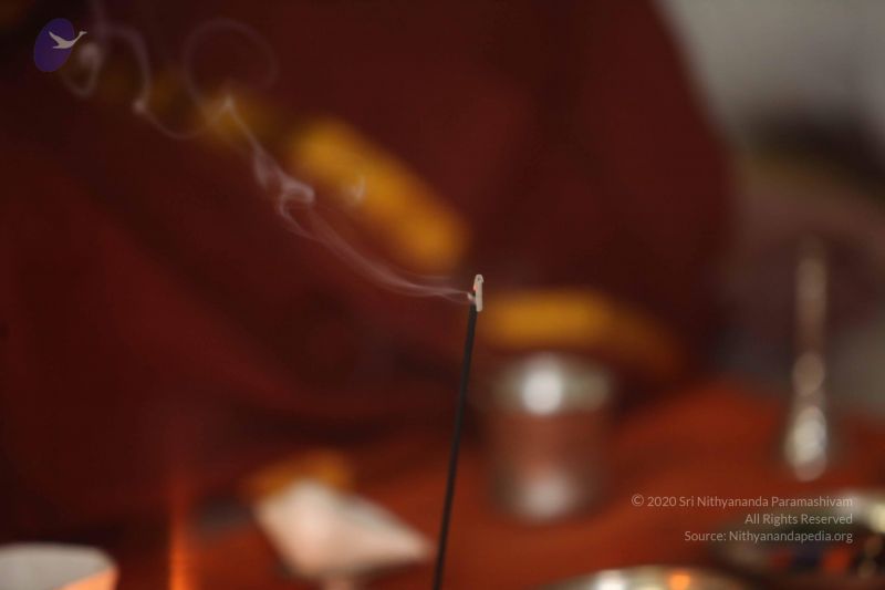 File:20130128 Photo 1099 1wpHTsV44SBW5Sg5pXnW12B-mdZeXeA0A.JPG