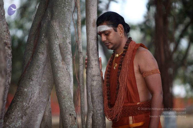 20130201 Photo 1019 1dLBrhurah2zfdVQ GOjZf85UWow9Mk7L.JPG