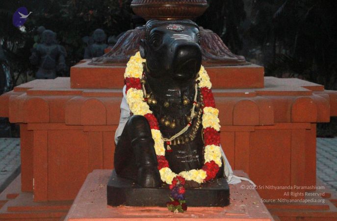 20130205 Photo 1001 13RlvaNwAhhcsulq4F a5NoIIEIhMrtPo.JPG