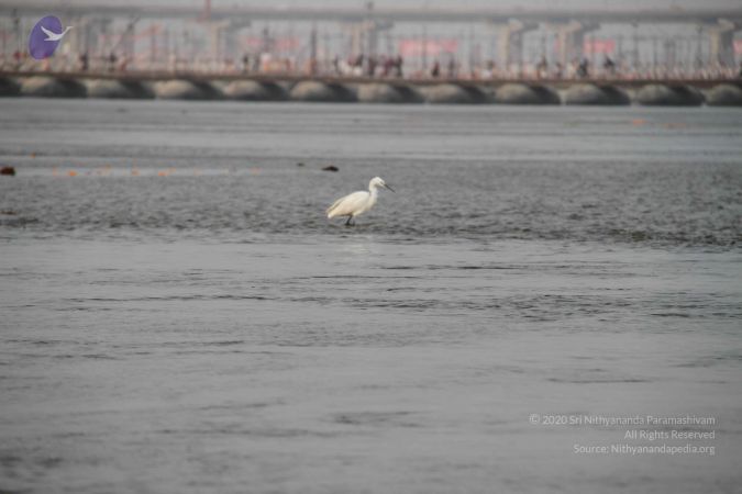 20130205 Photo 1120 16SbFLp 0u3ildafkMmQQU3lM5w8zx0qB.JPG