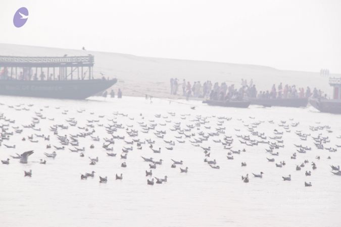 20130213 Photo 1190 1pQFrA5GIaowgzMC8qwqnjAFlnaXs4Xpl.JPG