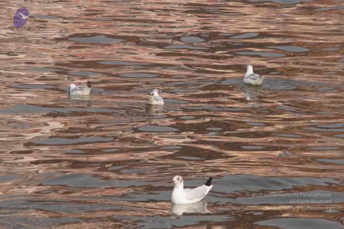 20130213 Photo 1568 10cCFeD8nb7pV3h99M40hvFP562R7dO79.JPG