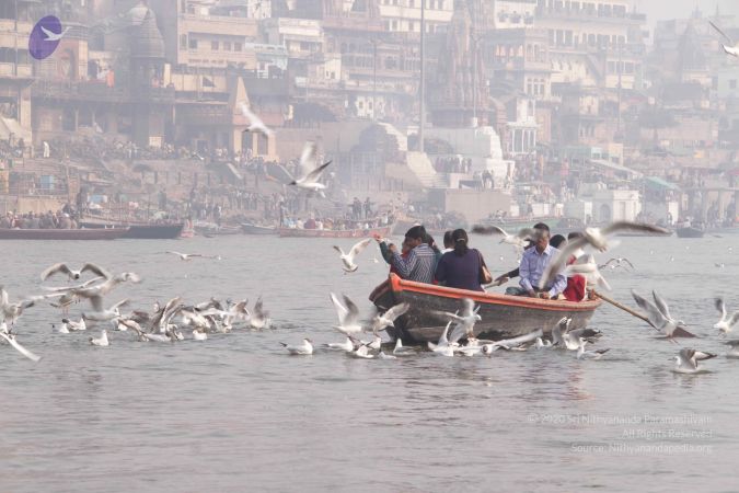 20130213 Photo 1571 1U9iDywHTQheBkN-FRkkrCwBw028oIBpr.JPG