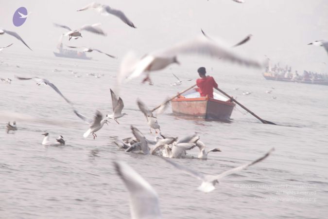 20130213 Photo 1581 12POHlkSqgzlsJBHGPXSPd PmeMDVN3E9.JPG