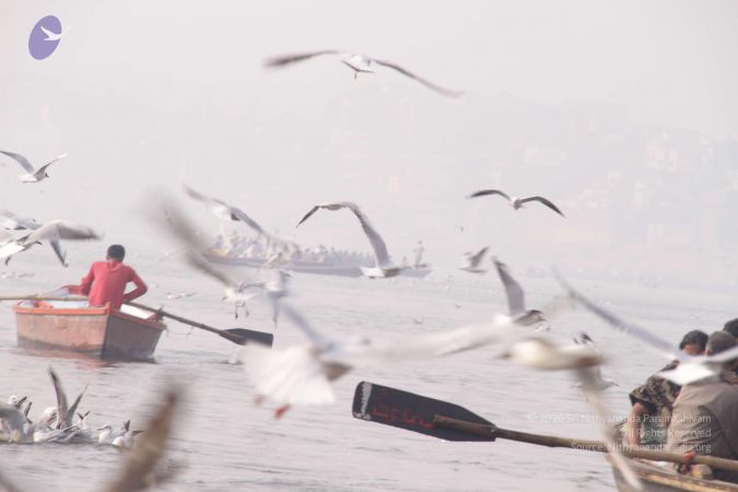 20130213 Photo 1582 1zH-ASq4AH05SvnqL8QcEG1Bbmu2GaZTI.JPG