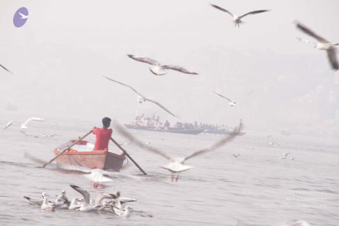 20130213 Photo 1583 1DGN0AEHxFq4tV-syh02 gasY2 OfBBxH.JPG