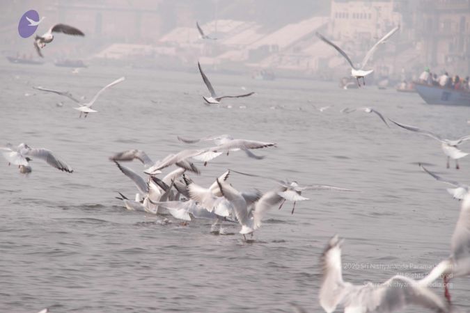 20130213 Photo 1585 10kWkWSTcVhMAhQuA1M2edg9inedJZsrI.JPG