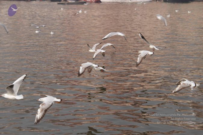 20130213 Photo 1598 17 CB QgfW-iogzSZrjfRk61aC7gEIILJ.JPG