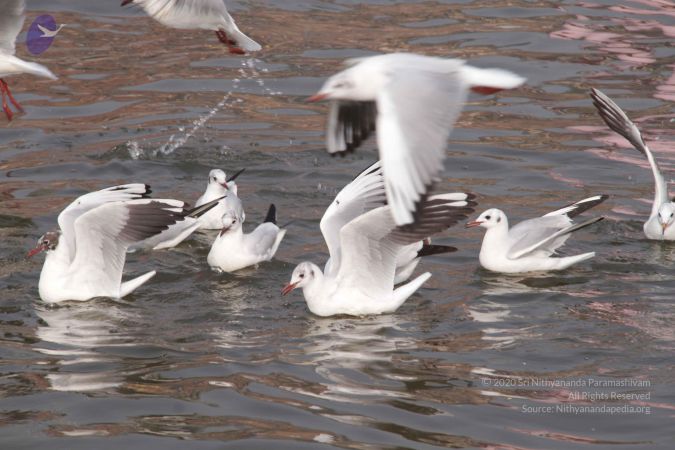 20130213 Photo 1600 1j069wrogNRPfMlBGJ22m4tvVv--uSl9p.JPG