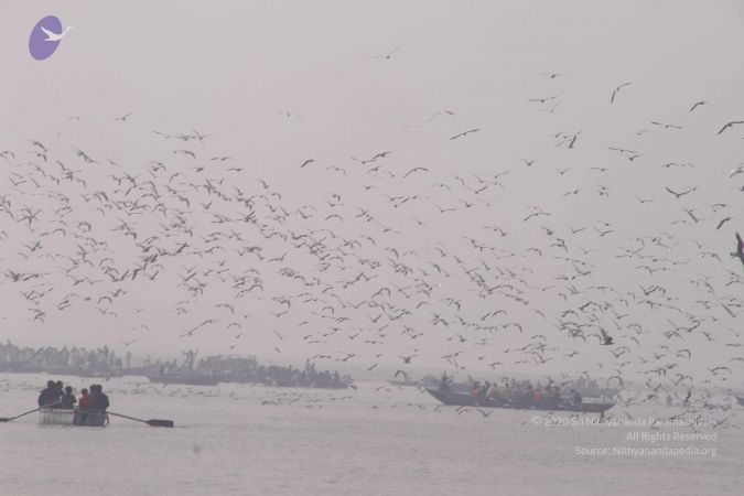 20130213 Photo 1634 1G1f dshkG4bHD1qXDcfgfrVhk0M NqAQ.JPG