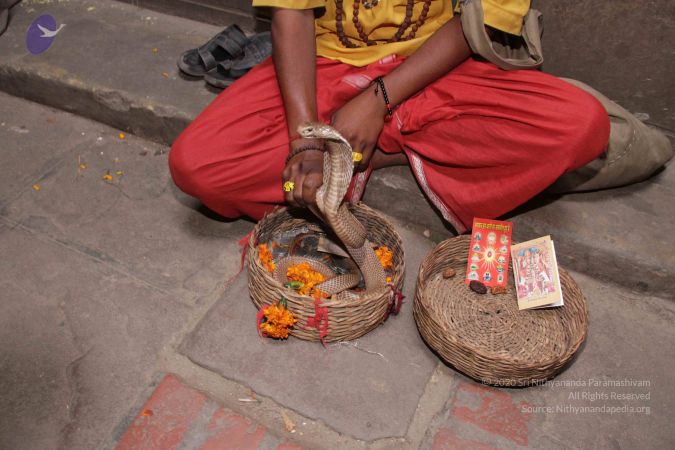 20130213 Photo 1767 11fklAtL4yHkdNAr Qp-ibON2RZVKltuX.JPG