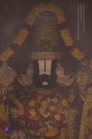 20130215 Photo 1600 1eAj9pFNpEKNxjo2kaTgwLH13zCmF1vn6.JPG