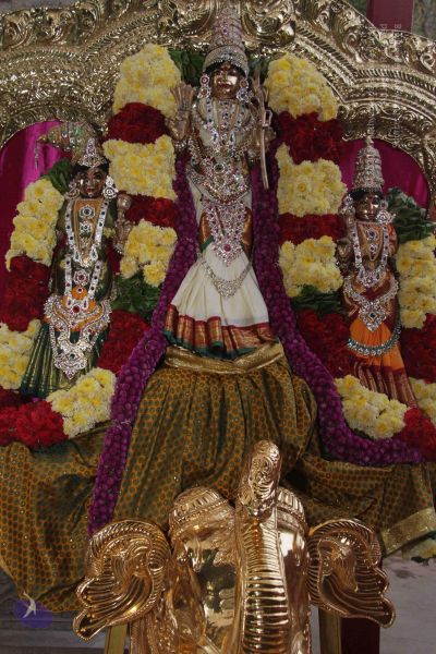 File:20130221 Photo 1044 1BGFX9IsXd7hxnQh4brir-cwTKLvmP fE.JPG