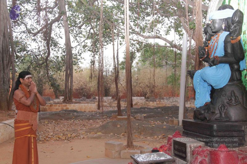 File:20130221 Photo 1057 1OBOYnAf0OcVVkU0Rf03KeASsn0MXrolZ.JPG