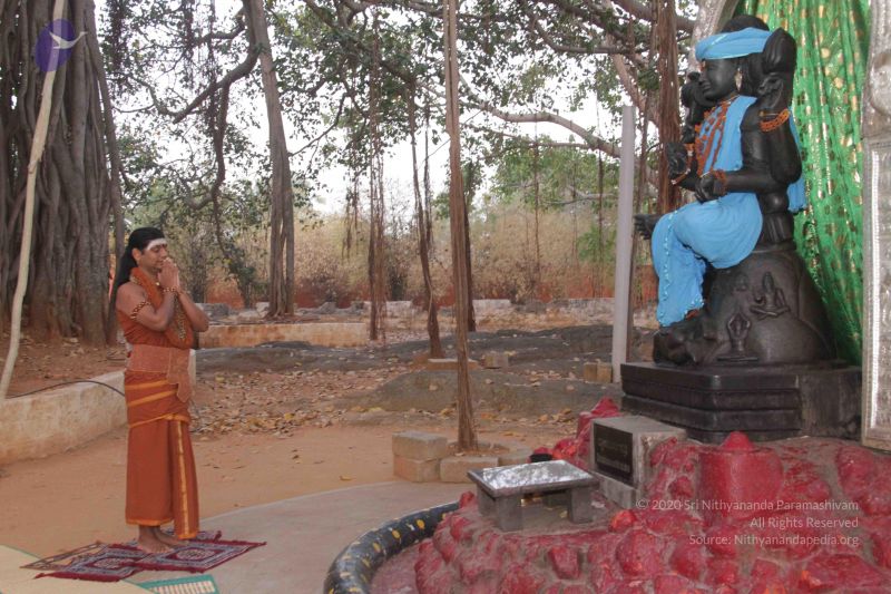 File:20130221 Photo 1061 1NnqvJ5TGpYcWaeNO3Sr9dWUe-CrvdUii.JPG