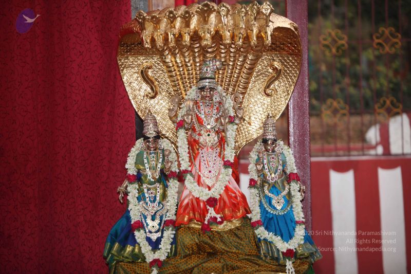 File:20130222 Photo 1000 1wCxuBi3 wyzeLi7owe9ugfZSDkFShEX6.JPG