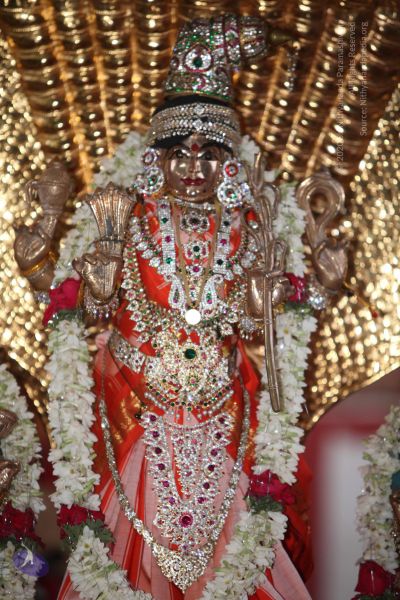 File:20130222 Photo 1002 1zPxqD9ExPt9jF3GtoqrOQdkgeqtT0h-7.JPG