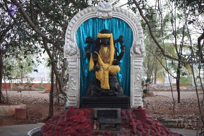 File:20130222 Photo 1005 1gtRTQzQ22EtpeobSrT1FRdyPTh75j7Ht.JPG