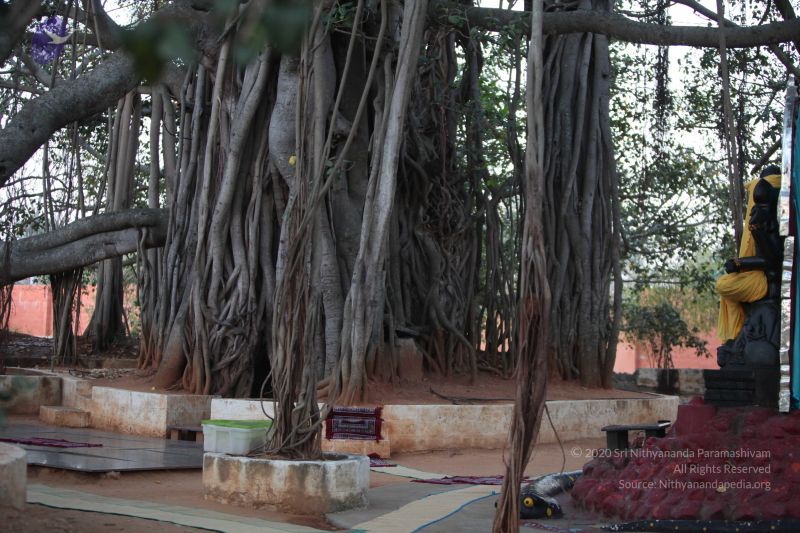 File:20130222 Photo 1009 1HIa5nJJQaY2gzYHuL29REHw7Zv0bonV4.JPG