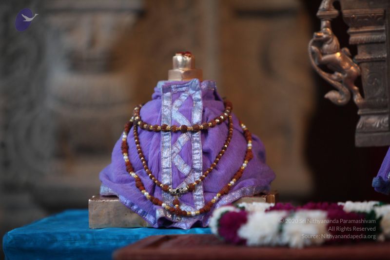 File:20130222 Photo 1015 1O8LDm8B8vOZxiLgV H9XGHNlNstJsWzd.JPG