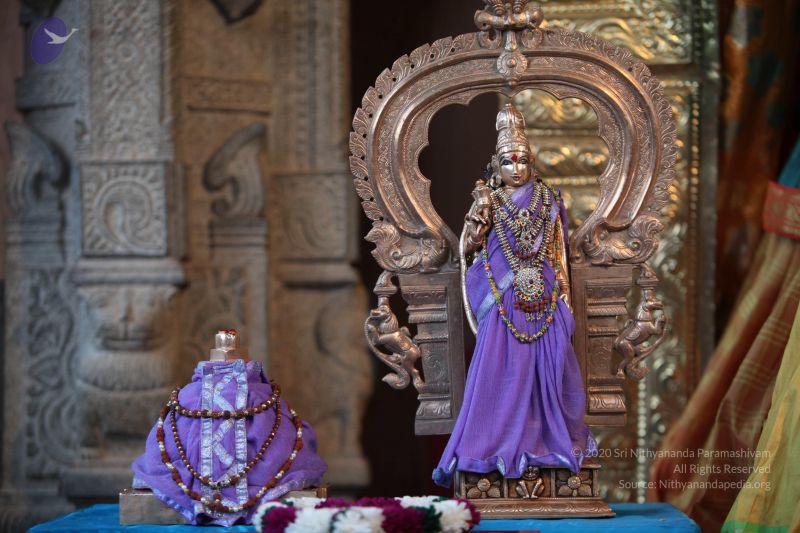 File:20130222 Photo 1016 1ZMNRI05tdvimaGyvYzdVDEHj-SoJEuqx.JPG