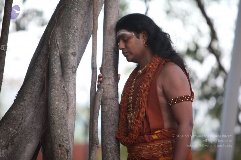 File:20130222 Photo 1025 1qv-Rj-VTvxqp2CN-NRS0JZazY38krOs-.JPG