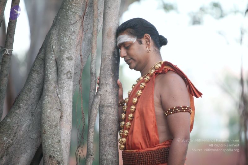 File:20130225 Photo 1006 1LObG-NHhAwPDLwRIRFdFVSlLSCC--Dj3.JPG