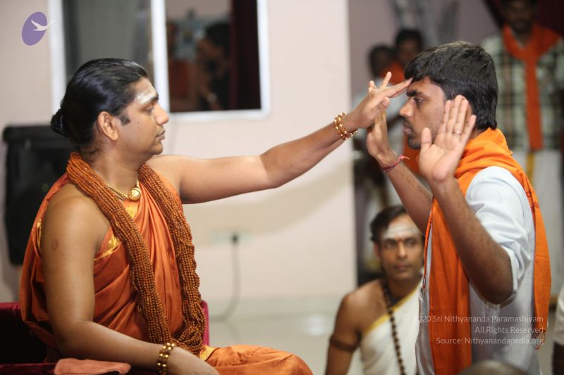 File:20130225 Photo 1122 1dq4dod0NGKQo470h1npcb4Y8ZwXagPC5.JPG