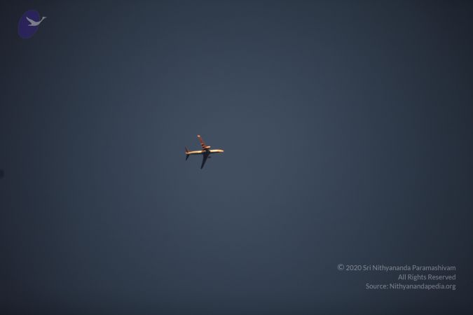 20130227 Photo 1005 1frkQTwWTsplqb8yFjvWwSgnXX-3sbeqC.JPG